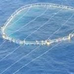 si_aggrappano_alle_gabbie_per_i_tonni_sette_profughi_morti_nel_canale_di_sicilia-330-0-366671