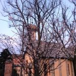 IMG_0308 - Copia